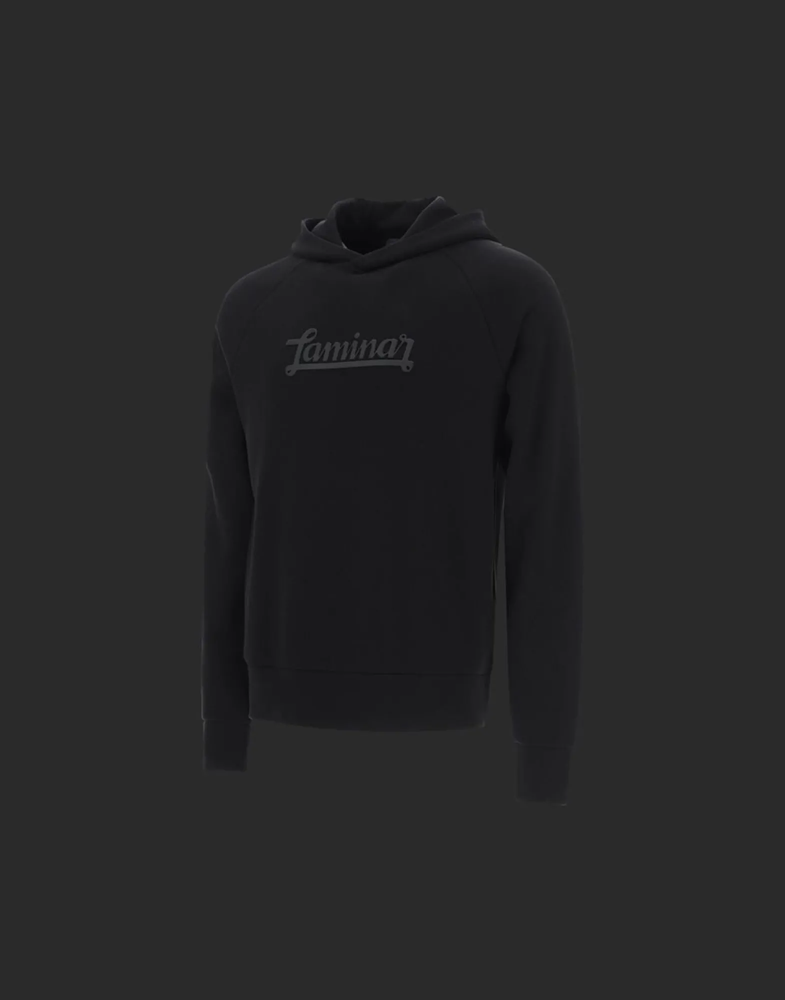 Herno Laminar Cotton Sweater Hoodie With Logo