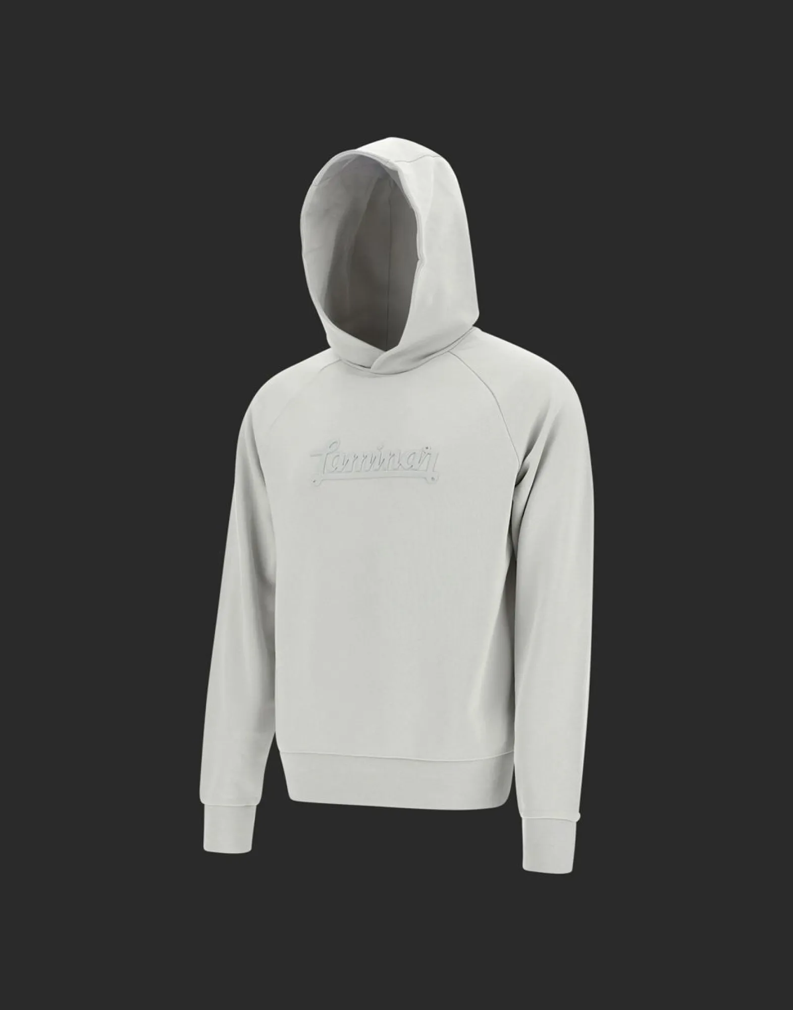 Herno Laminar Cotton Sweater Hoodie With Logo