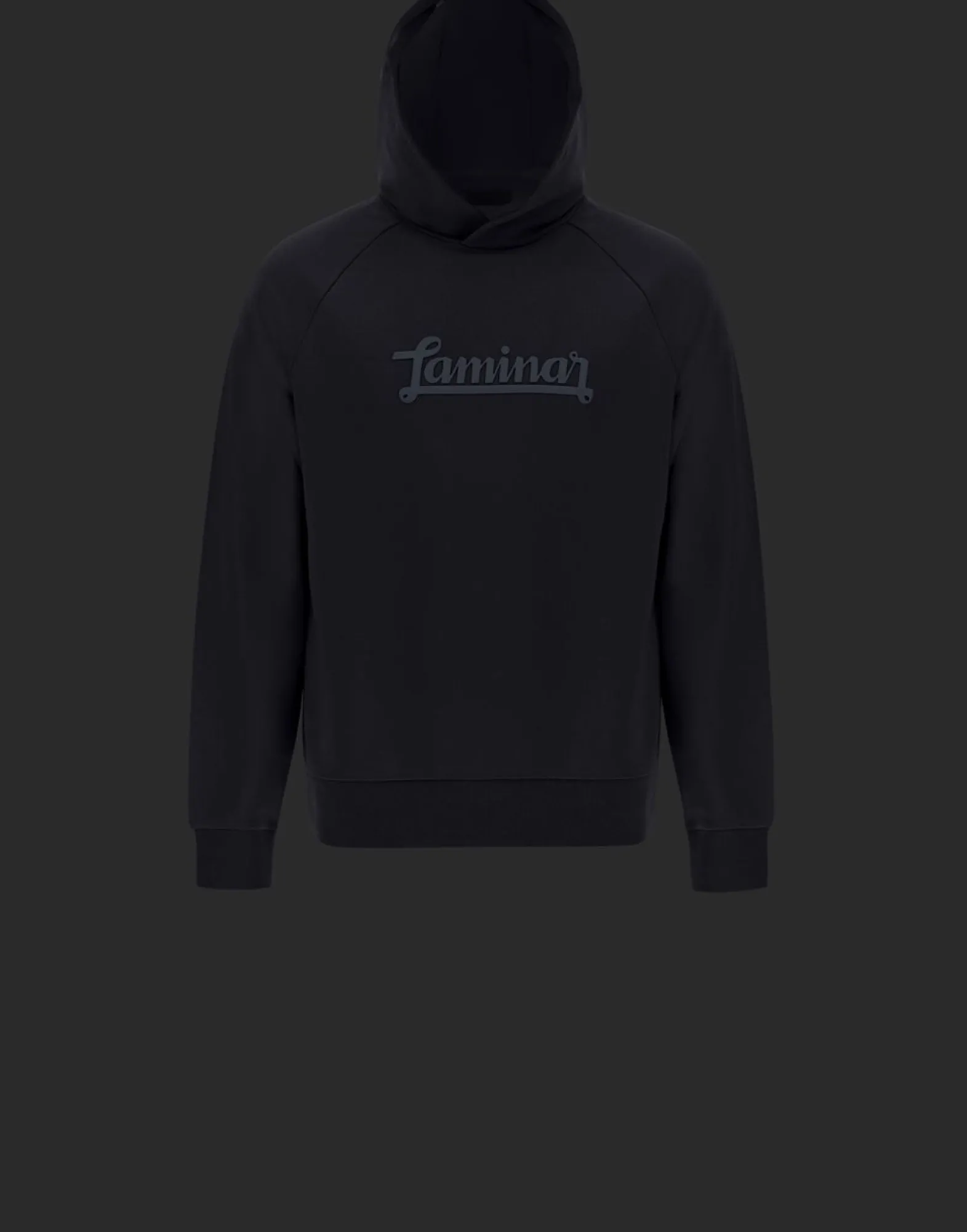 Herno Laminar Cotton Sweater Hoodie With Logo