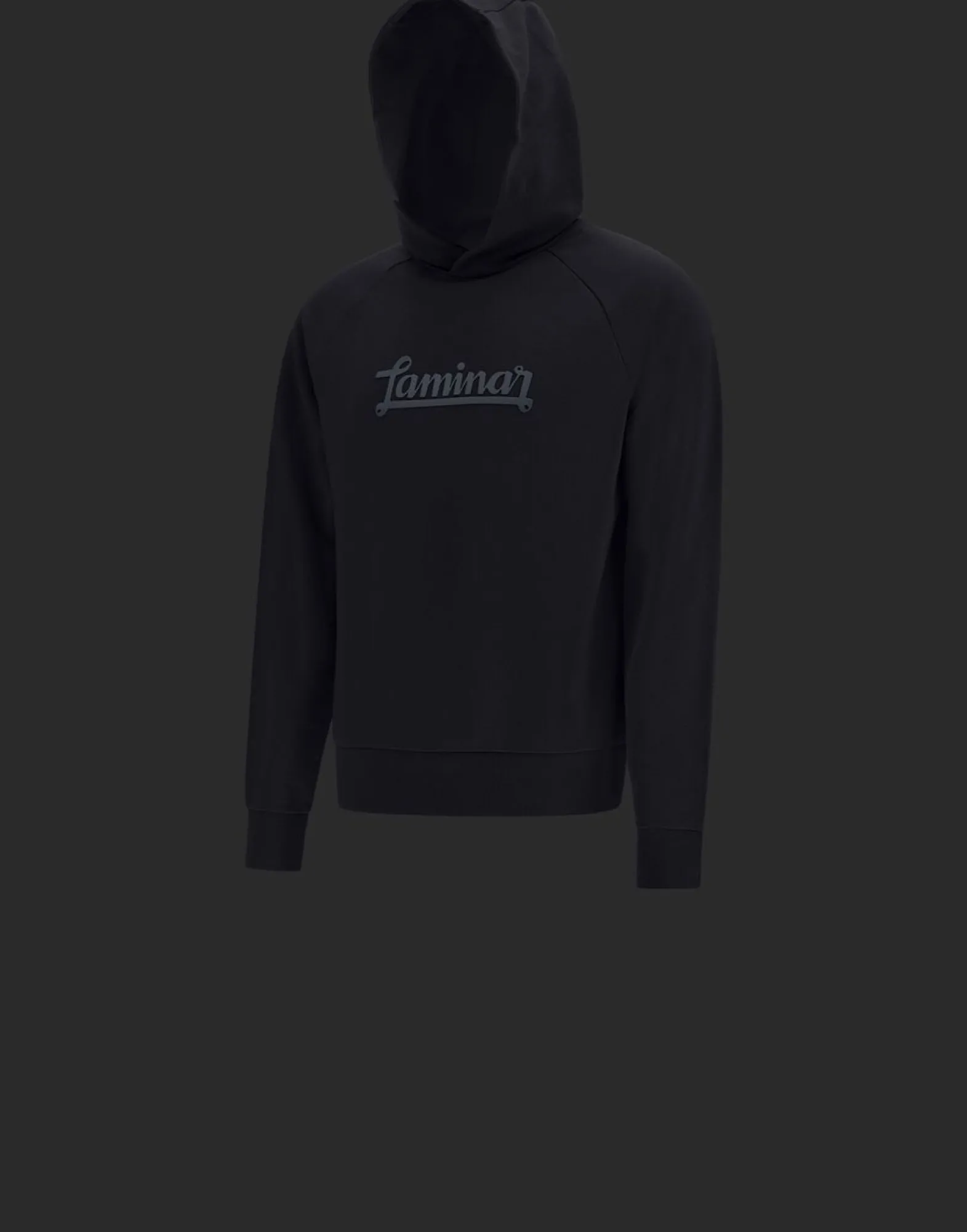 Herno Laminar Cotton Sweater Hoodie With Logo