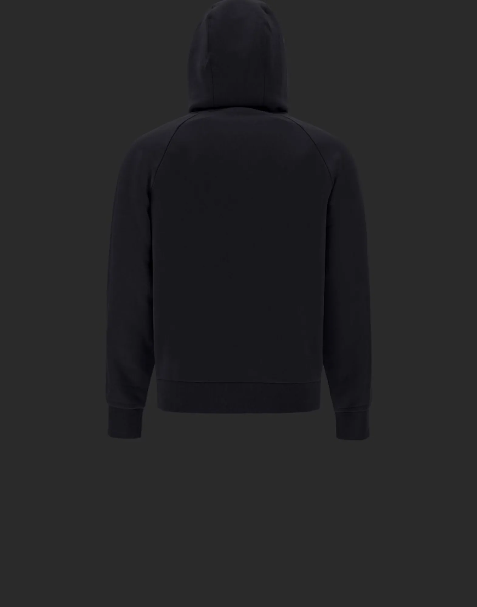 Herno Laminar Cotton Sweater Hoodie With Logo
